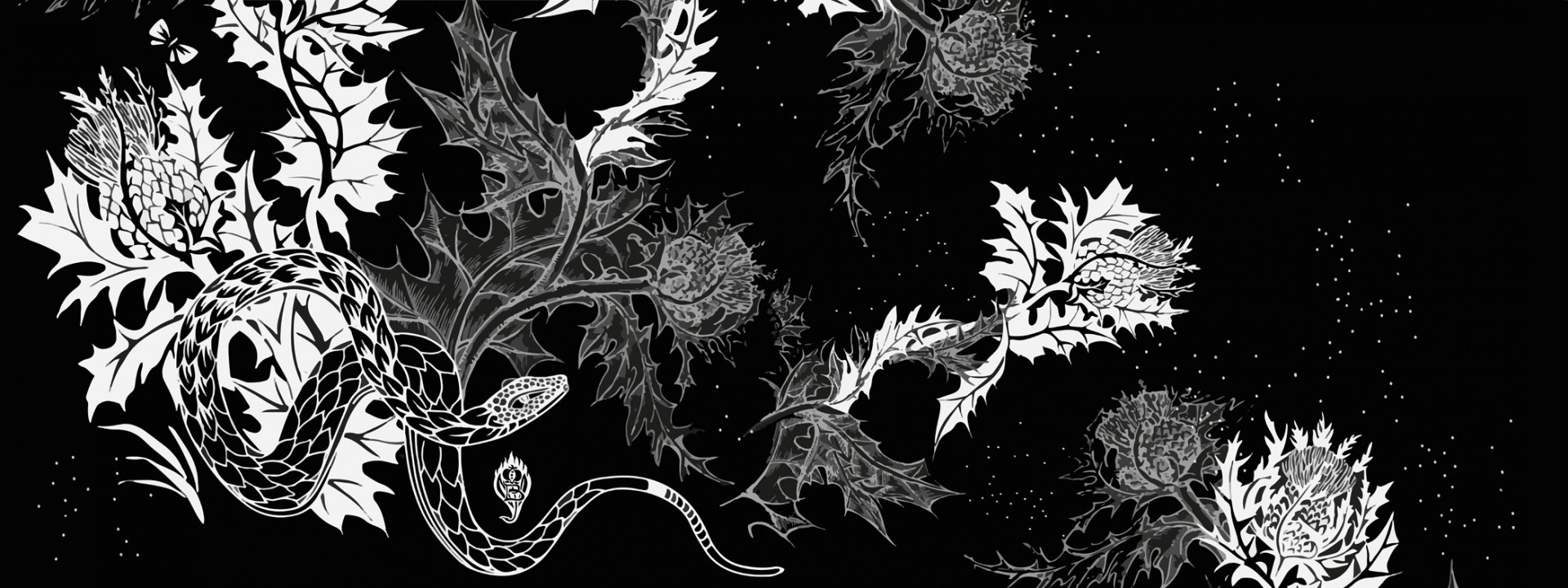 Crazy Artists by Santucci Giacomo