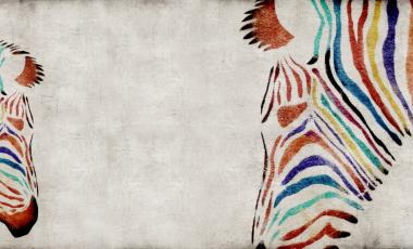 Crazy Animals