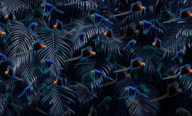 Crazy Artists by Ravaioli Maicol