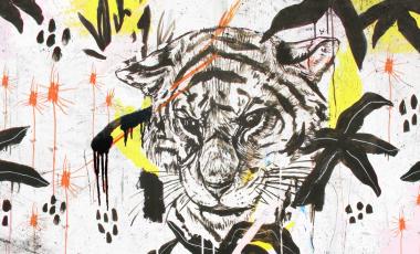 Crazy Artists by Reve+
