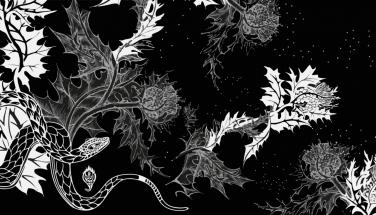 Crazy Artists by Santucci Giacomo